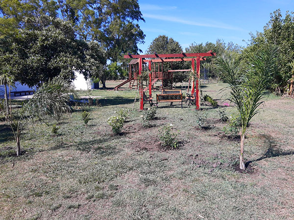 Plantines de temporada