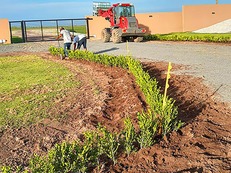 Vivero La Perla