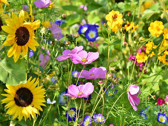 Vivero La Perla